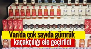 Van'da gümrük kaçakçılığı operasyonu