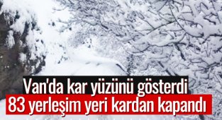 Van'da kar yüzünü gösterdi 83 yerleşim yeri kardan kapandı