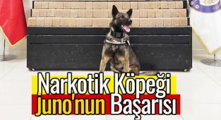 Van'da uyuşturucu operasyonu