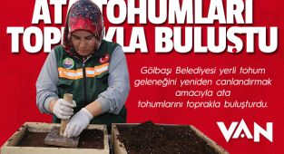 Belediye Ata Tohumlarını Toprakla Buluşturdu