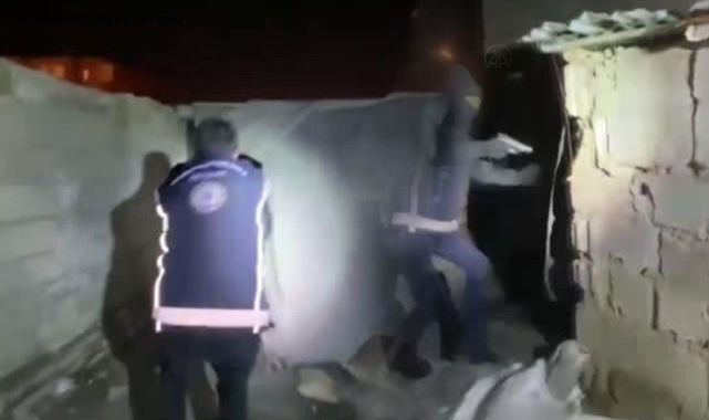 Van'da göçmen kaçaklığı suçundan 5 kişi tutuklandı