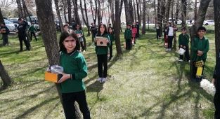 Minik kalpler Ağaçlara Ev Yapımı Kuş Yemligi