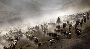 Türkiye'nin kadınlara özel tek fotoğraf yarışması sonuçlandı