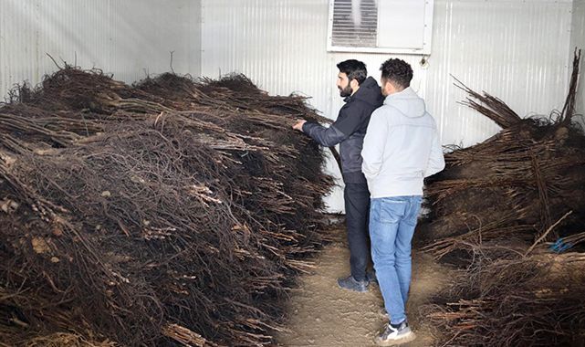 Van'da 50 hibe desteği