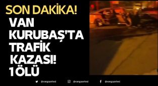 Van Kurubaş'ta Trafik Kazası! 1 Ölü