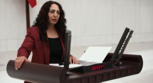 Van Milletvekili Işık, hasta tutuklu gazetecileri TBMM'ye sundu