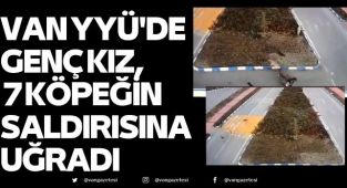 Van YYÜ'de genç kız, 7 köpeğin saldırısına uğradı