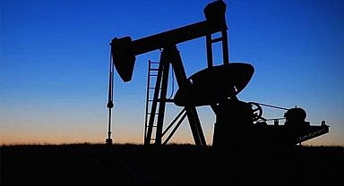 Brent petrolün varil fiyatı 113,90 dolar