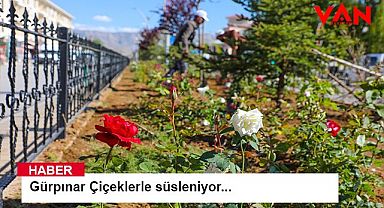Gürpınar Belediyesi, rengarenk çiçeklerle şehri süslüyor