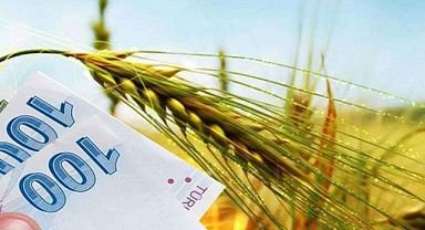 Tarımsal destek ödemeleri bugün başlıyor