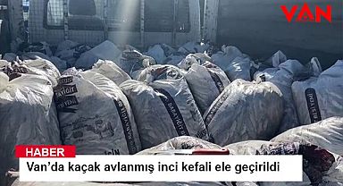 Van’da kaçak avlanmış inci kefali ele geçirildi