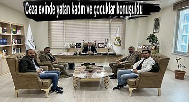 Van’da Sicili bozuk genç sayısı artıyor  