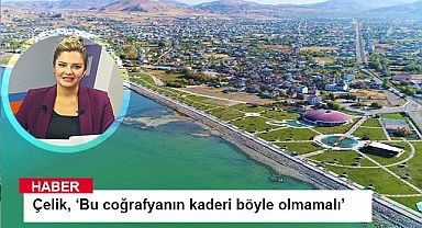 Çelik, ‘Van'ın kaderi bu olmamalı’
