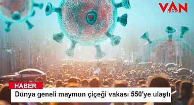 Dünya geneli maymun çiçeği vakası 550'ye ulaştı