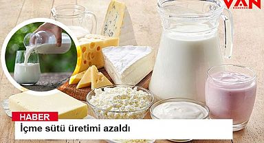 İçme sütü üretimi azaldı