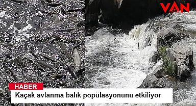 Kaçak avlanma balık popülasyonunu etkiliyor