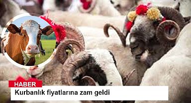 Kurbanlık fiyatlarına zam geldi