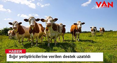 Sığır yetiştiricilerine verilen destek uzatıldı