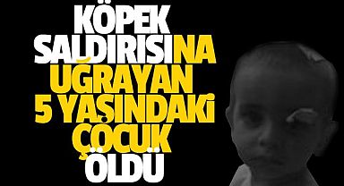 Son dakika! Köpek saldırısına uğrayan 5 yaşındaki çocuk öldü