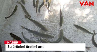 Su ürünleri üretimi arttı