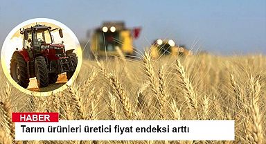 Tarım ürünleri üretici fiyat endeksi arttı
