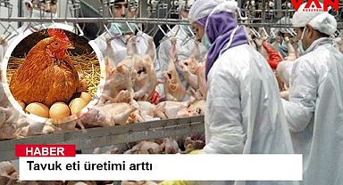 Tavuk eti üretimi arttı