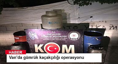 Van’da gümrük kaçakçılığı operasyonu