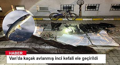 Van'da kaçak avlanmış 4,5 ton canlı inci kefali ele geçirildi