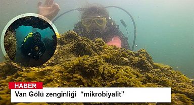 Van Gölü zenginliği “mikrobiyalitler”