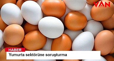 Yumurta sektörüne soruşturma