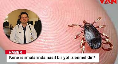 Kene ısırmalarında nasıl bir yol izlenmelidir?
