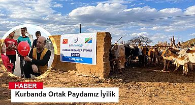 Kurbanda Ortak Paydamız İyilik