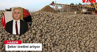 Şeker üretimi artıyor