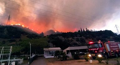 Söke de orman yangını kontrol altına alındı