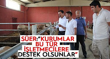 SÜER: KURUMLAR BU TÜR İŞLETMECİLERE DESTEK OLSUNLAR