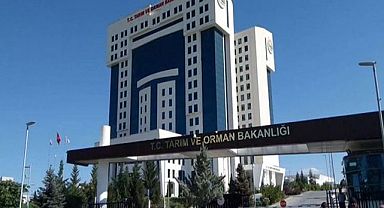TARIMSAL DESTEK ÖDEMELERİ BAŞLADI