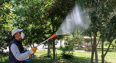 Van'da park bahçe mesire alanları bayrama hazır