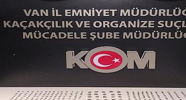 Van'da kaçakçılık operasyonlarında 349 sikke ele geçirildi