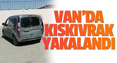 Van'da Kıskıvrak Yakalandı
