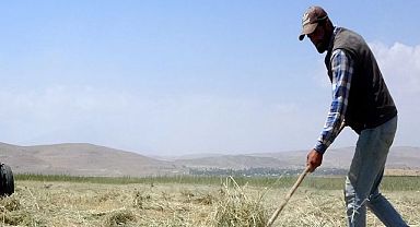 Van Gölü çekildi, tarım alanları gün yüzüne çıktı