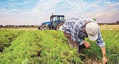 Milyonlarca çiftçiyi ilgilendiren haber