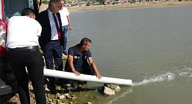 Van'da 1 milyon balık suya bırakıldı