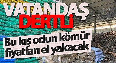 Vatandaş dertli bu kış nasıl ısınacağız...