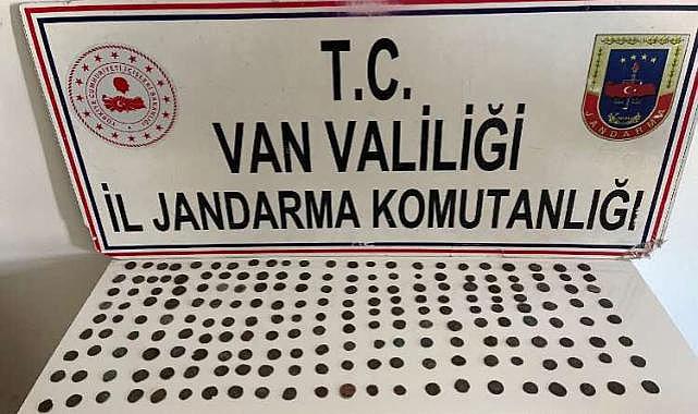 30 yıl hapis cezası bulunan 2 kardeş Van ilinde yakalandı
