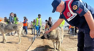  Van’da sokak hayvanlarını besleme etkinliği