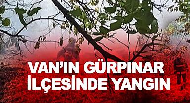 Van'ın Gürpınar ilçesinde yangın