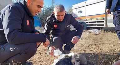 Van’da AFAD Ekiplerini Harekete Geçiren ses