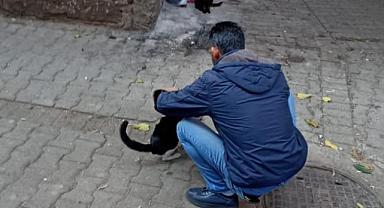 Yusuf Yetiş, Diyarbakır'da Yaralı Kediye Yetişti