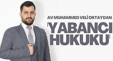 Av Muhammed Veli Oktay'dan 'Yabancı Hukuku'