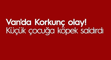 Van'da Korkunç olay, Küçük çocuğa köpek saldırdı